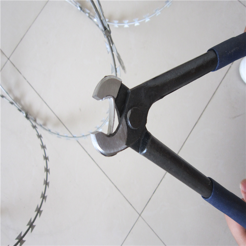 湖北刀片刺絲 刀片刺網(wǎng) 是一種新型防護網(wǎng)